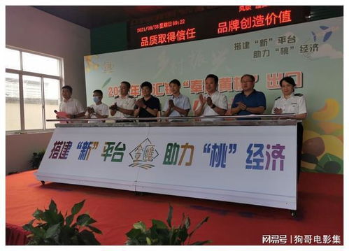 上海奉賢黃桃香飄香港，技術(shù)賦能開啟高品質(zhì)農(nóng)產(chǎn)品出口新篇章